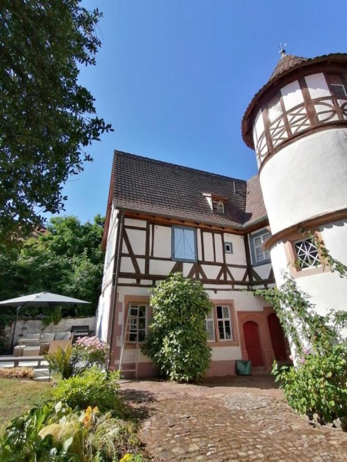 Maison Kobold Xvie Siecle Wissembourg Esterno foto