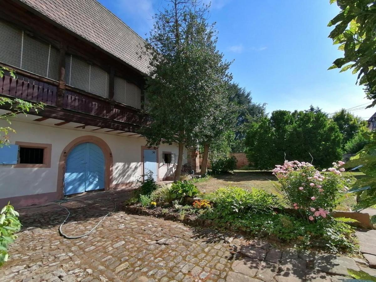 Maison Kobold Xvie Siecle Wissembourg Esterno foto