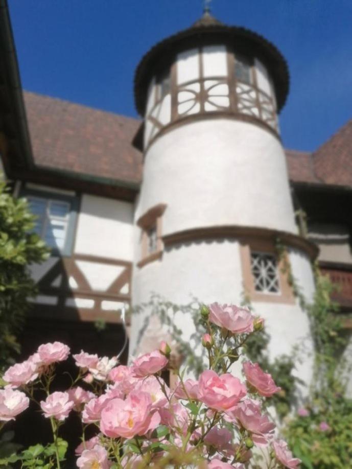 Maison Kobold Xvie Siecle Wissembourg Esterno foto