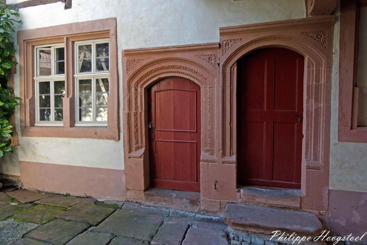 Maison Kobold Xvie Siecle Wissembourg Esterno foto