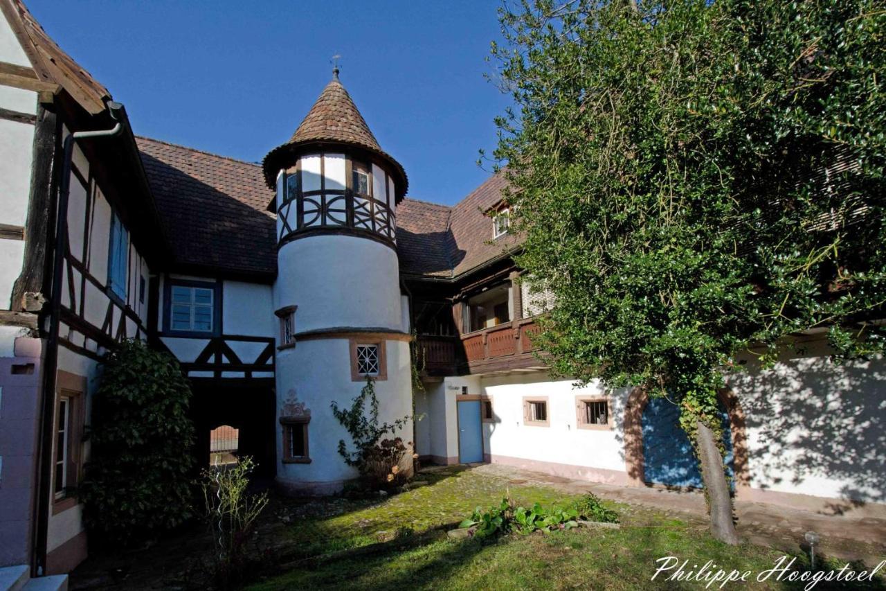 Maison Kobold Xvie Siecle Wissembourg Esterno foto